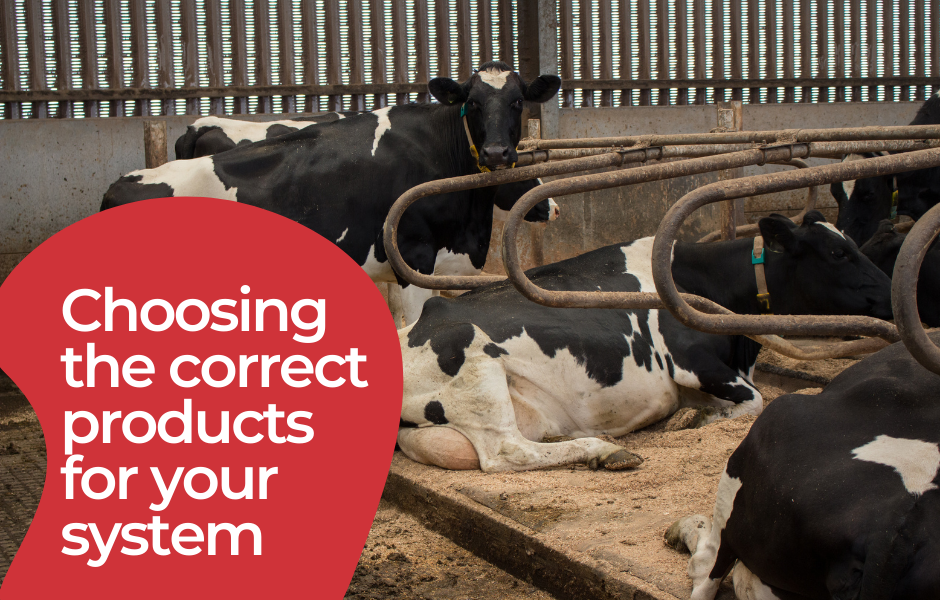 Choosing the best bedding for your system... Platts Agriculture