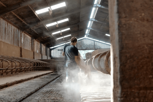quality sawdust bedding
